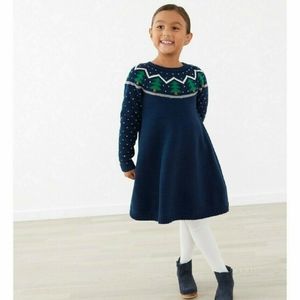 Hanna Andersson Sweater dress